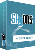 SkyDNS Домашний (лицензия на 1 год)