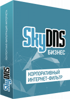 SkyDNS Бизнес на 25 ПК (лицензия на 1 год)