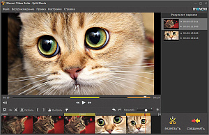 Movavi Video Suite 15. Бизнес лицензия
