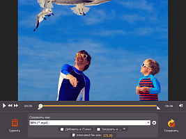 Movavi Screen Capture 7. Бизнес лицензия