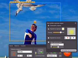 Movavi Screen Capture 7. Бизнес лицензия