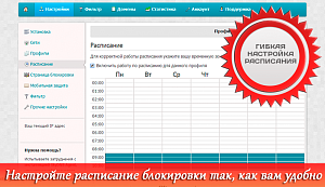 SkyDNS Школа на 100 ПК (лицензия на 1 год)