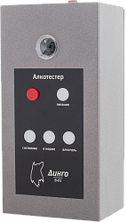 Динго В-01