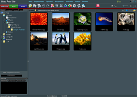 Movavi Photo Suite. Персональная лицензия [Цифровая версия]