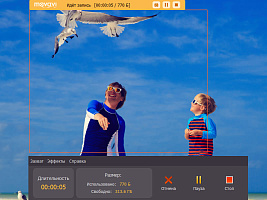 Movavi Screen Capture 7. Бизнес лицензия