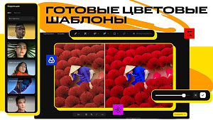 Movavi Photo Editor 2024 for Mac (персональная лицензия / годовая подписка)