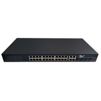 LTV-2S24G4C, 24-портовый коммутатор Ethernet