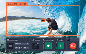 Movavi Video Suite 17. Бизнес лицензия