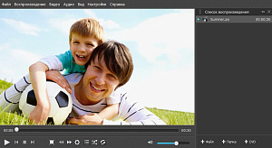 Movavi Video Suite 15. Бизнес лицензия